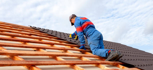 Best Sheet Metal Roofing  in La Grange, KY